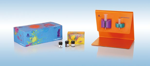 細(xì)胞分選磁珠