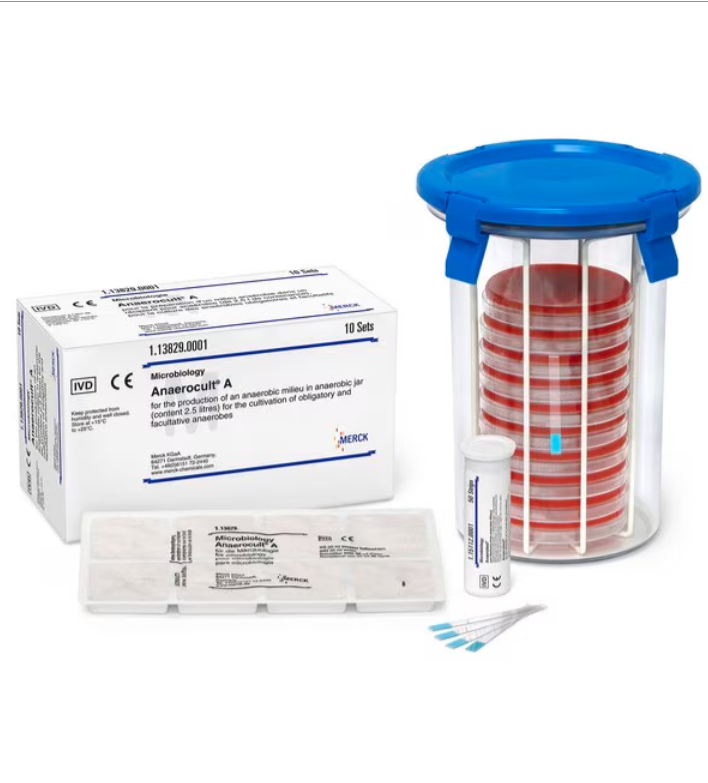 厭氧發(fā)生系統(tǒng)