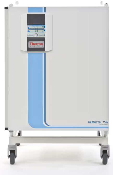 150i 二氧化碳培養(yǎng)箱